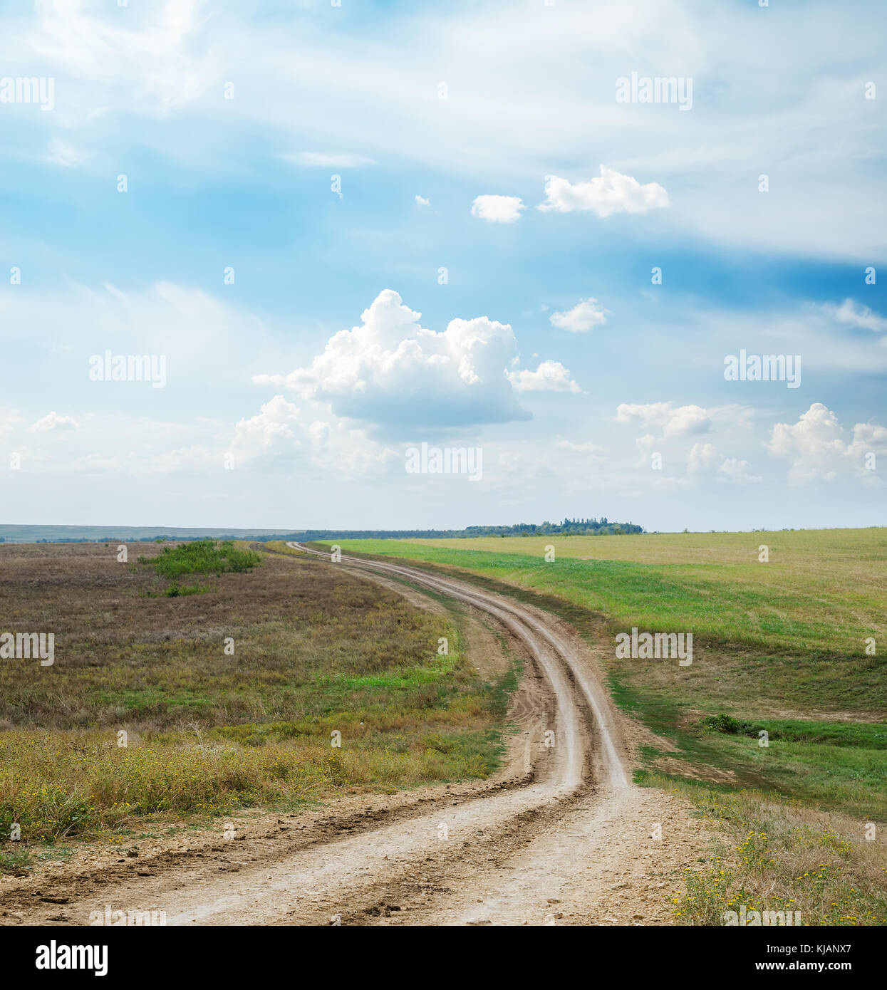 dirty road in field and blue sky with clouds Stock Photo - Alamy