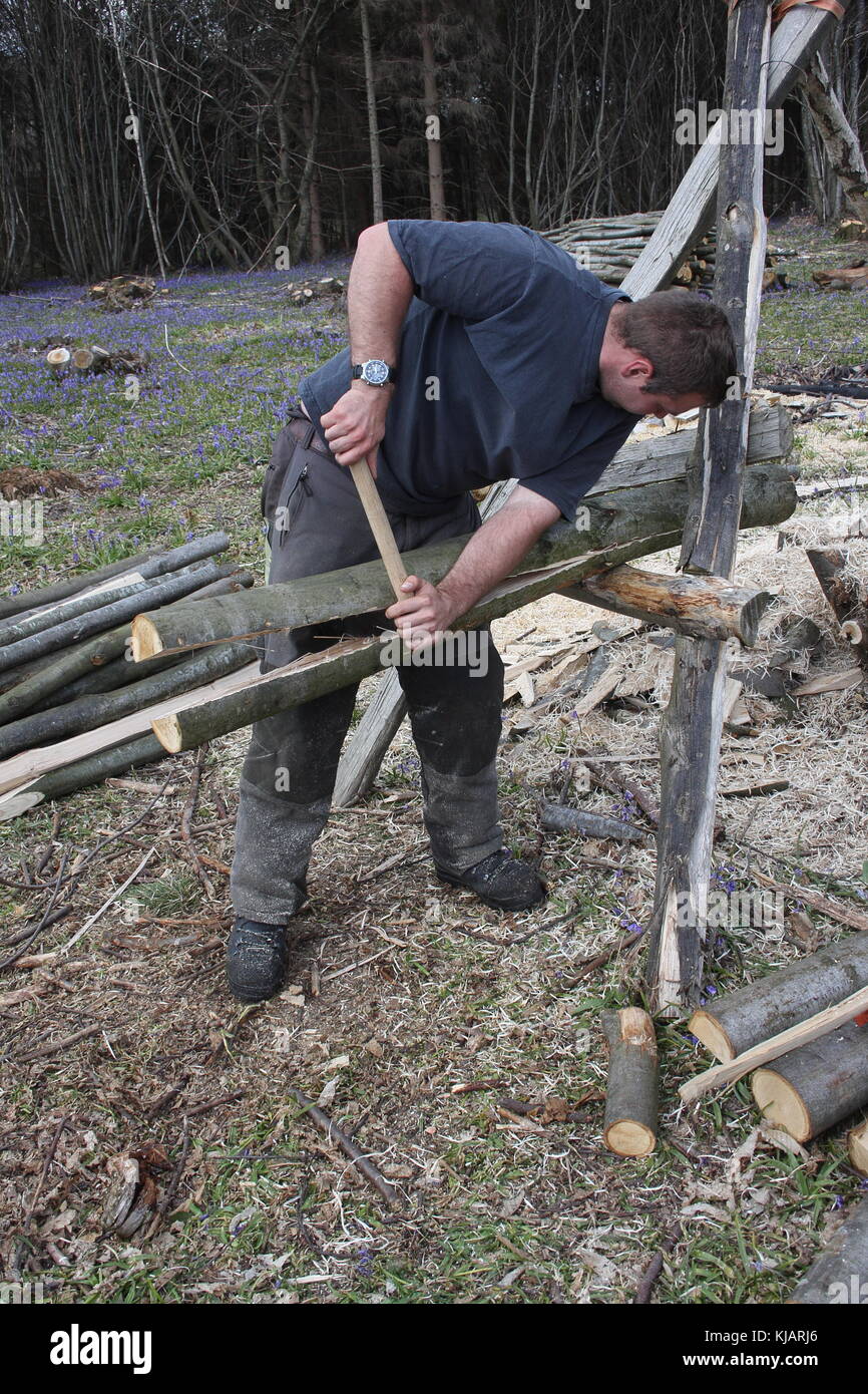 Young Woodman, splitting chestnut rounds to make fencing posts, with the use of a froe to split the post, a traditional method still used in woods. Stock Photo