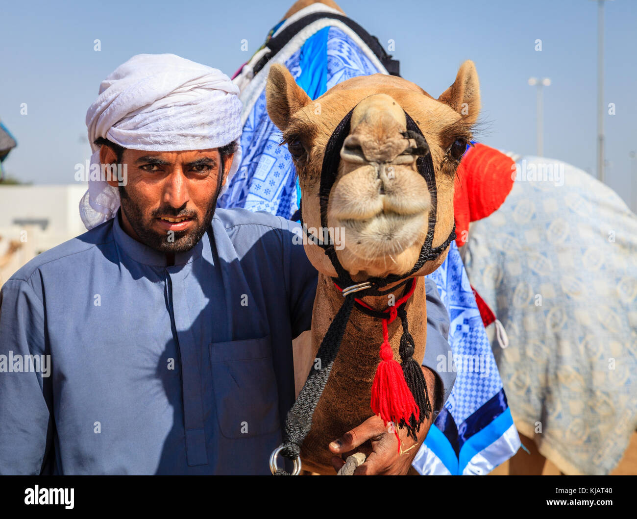 Dubai, United Arab Emirates - March 25, 2016: Camel handler with his animal at Dubai Camel Racing Club Stock Photo