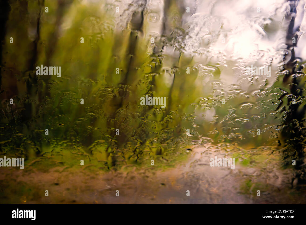 Autumn rainy day, the view through the glass with drops of water Stock ...