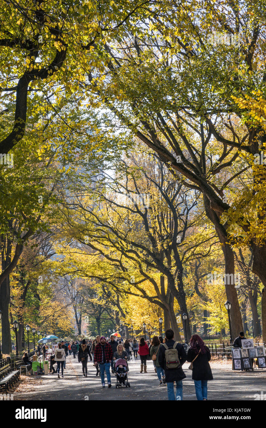 Central Park with Fall Foliage in Autumn, NYC, USA Stock Photo