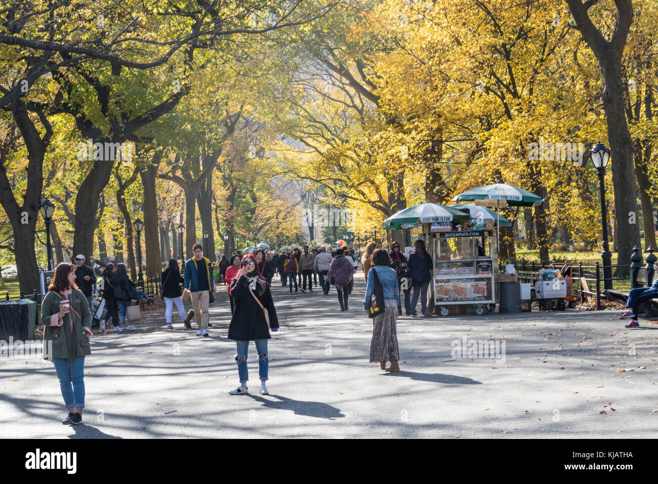 Central Park with Fall Foliage in Autumn, NYC, USA Stock Photo - Alamy
