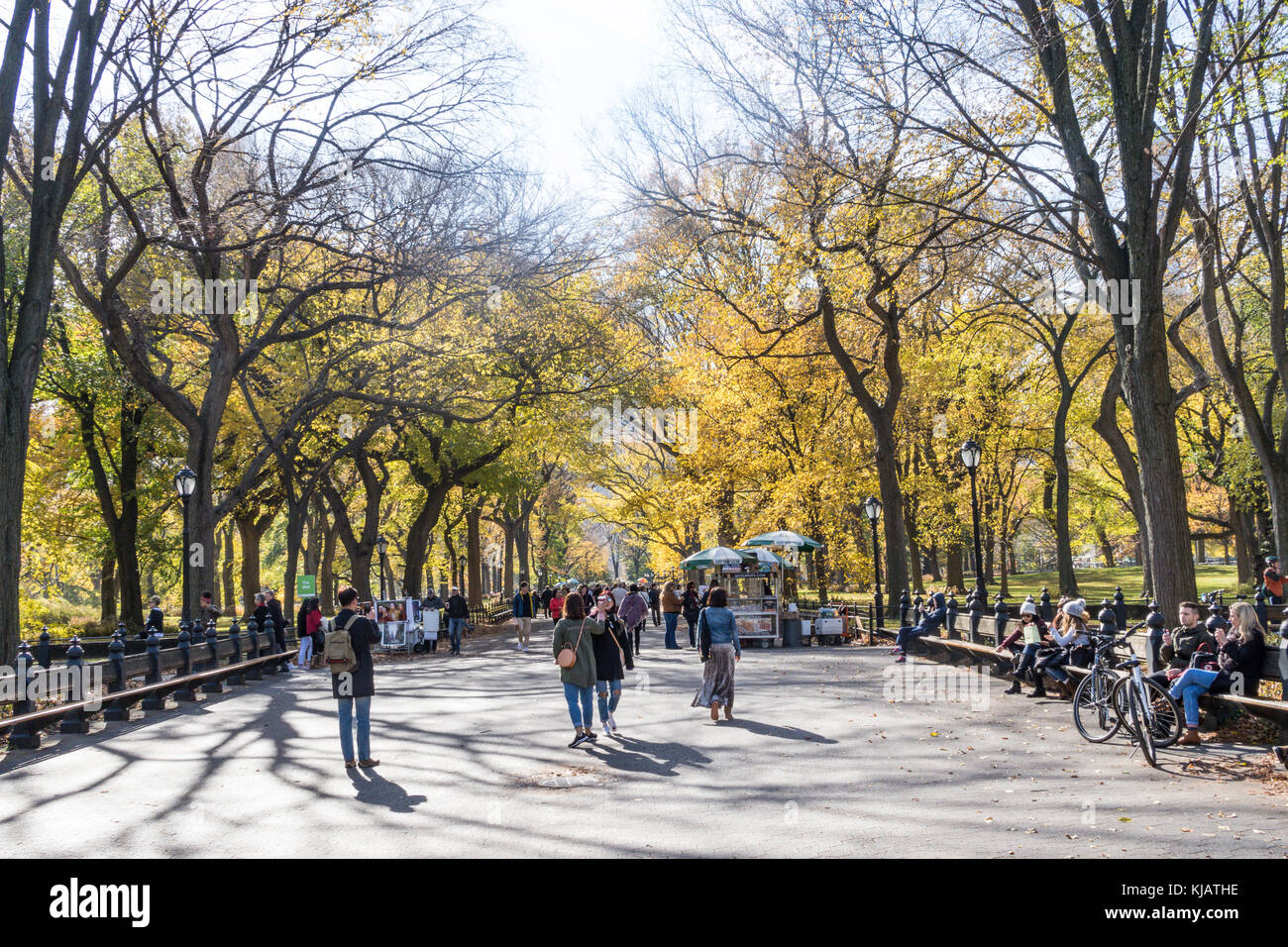 Central Park with Fall Foliage in Autumn, NYC, USA Stock Photo - Alamy