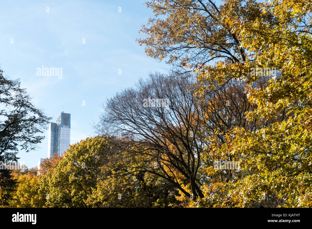Central Park with Fall Foliage in Autumn, NYC, USA Stock Photo