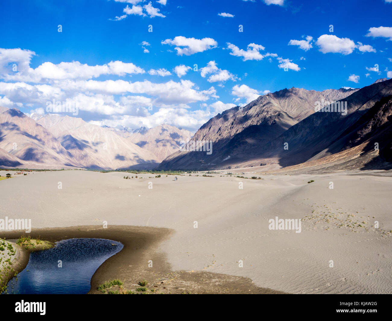 160+ Ladakh India Nubra Valley Stone Stock Photos, Pictures & Royalty-Free  Images - iStock