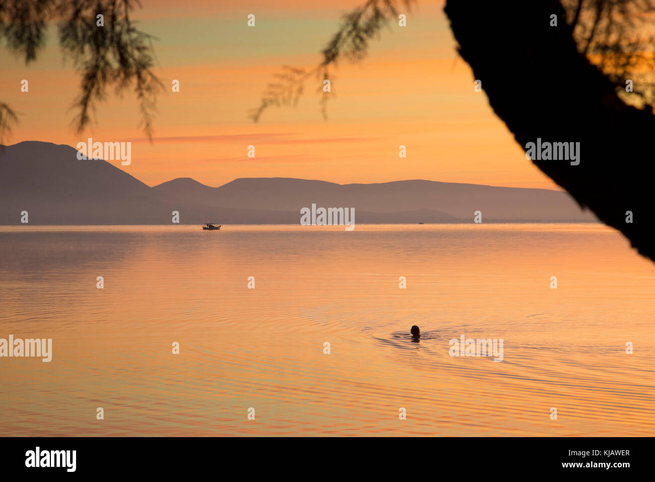 The calm sea reflects the bright orange dawn sky and ripples surround the distant, silhouetted head of a lone swimmer. Stock Photo