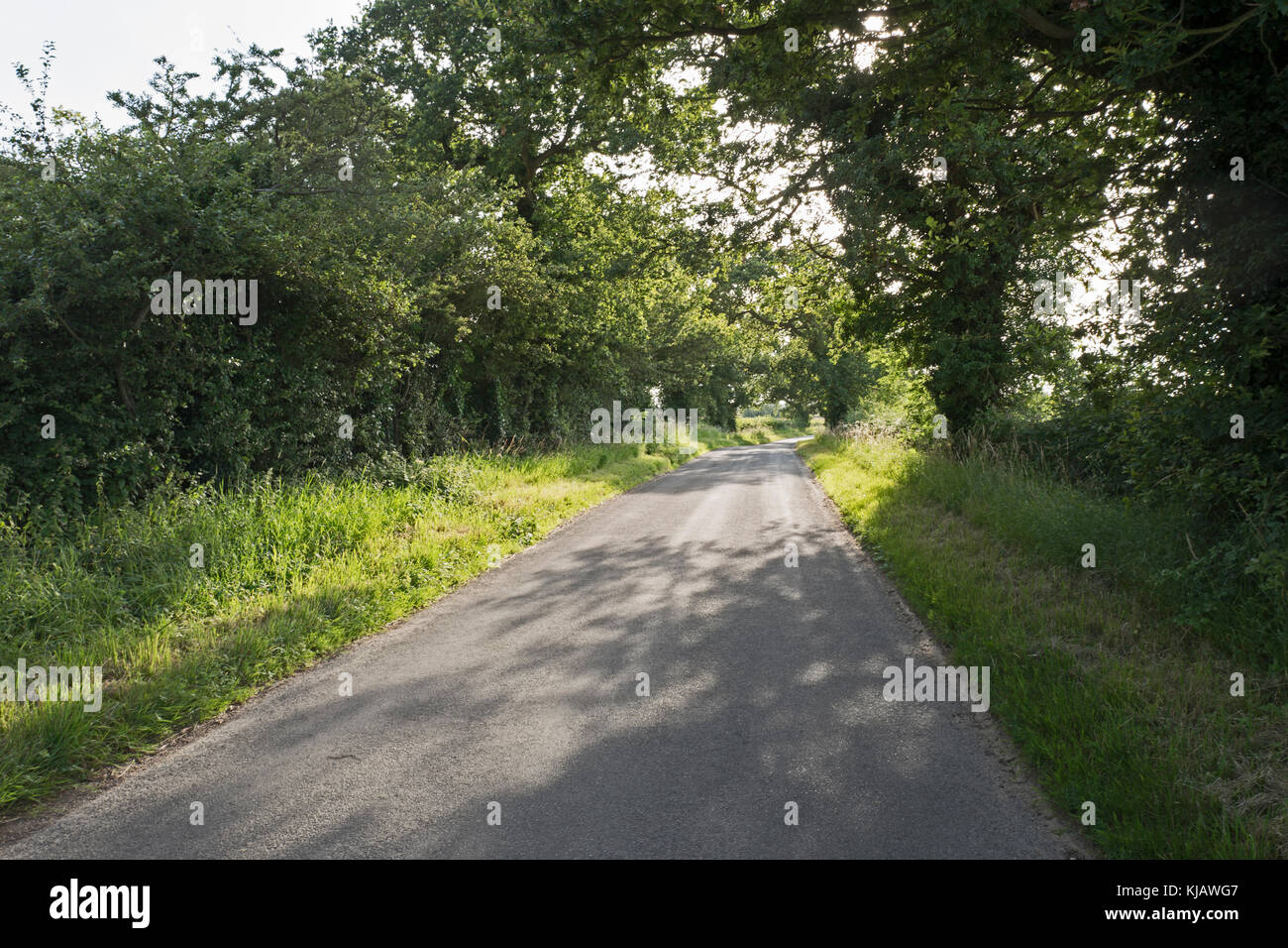 Country lane near Thursford Norfolk summer Stock Photo