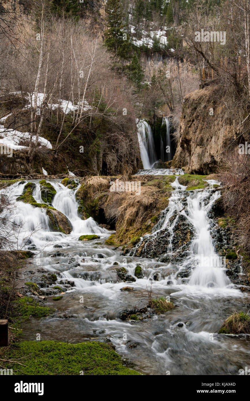 South Dakota. Spearfish Canyon. Black Hills. Roughlock Falls Stock
