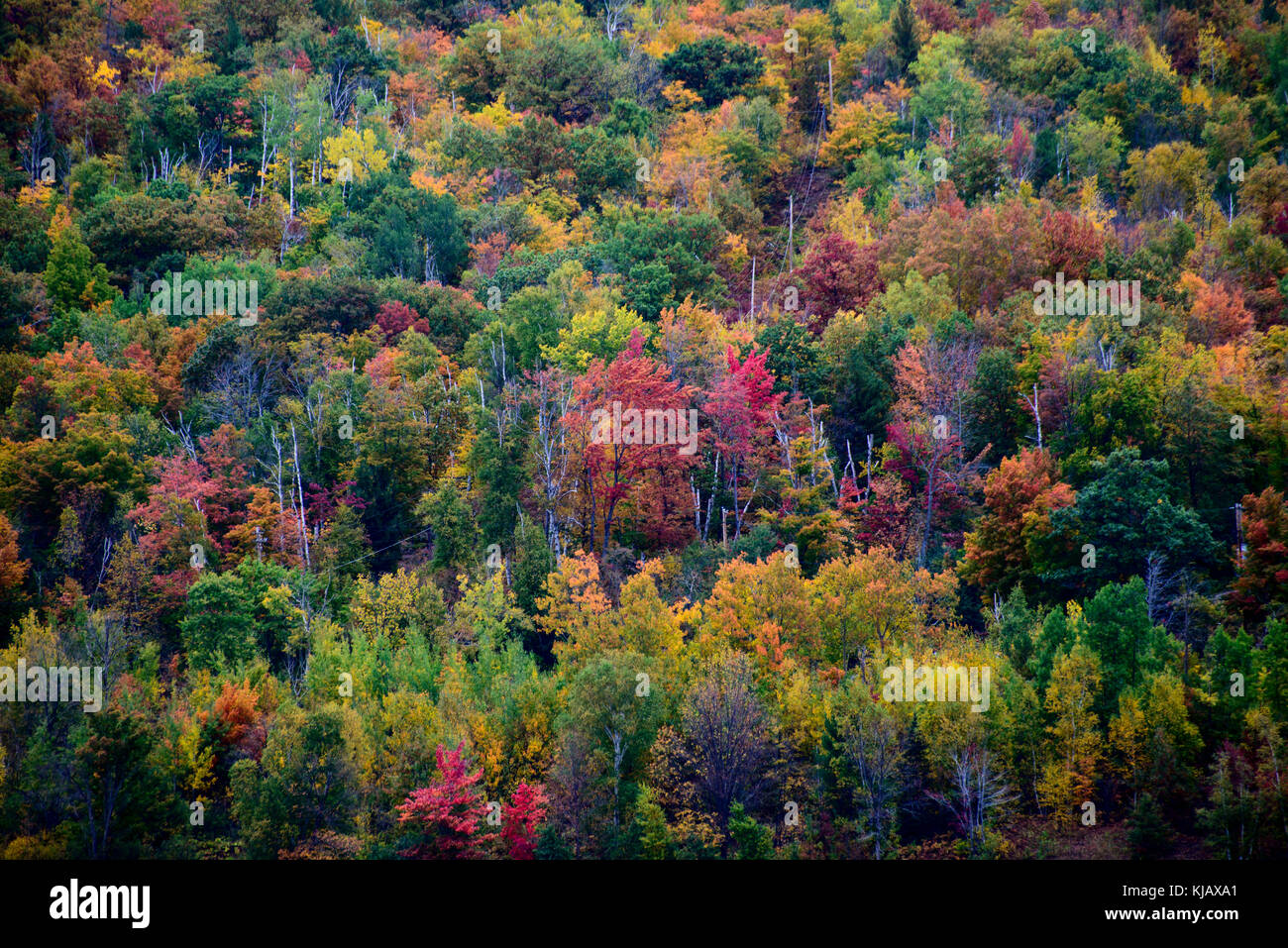 Houghton, Michigan. Fall color Stock Photo Alamy