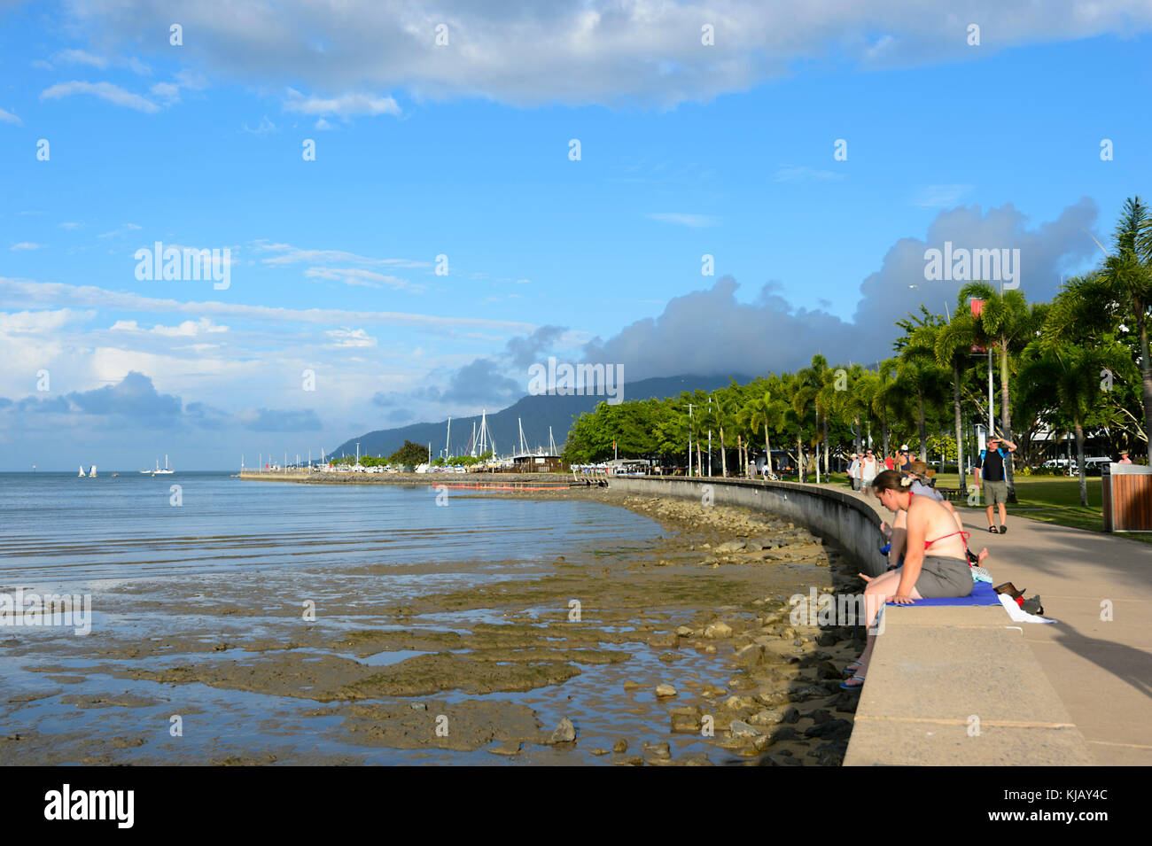 Trinity bay cairns australia hires stock photography and images Alamy