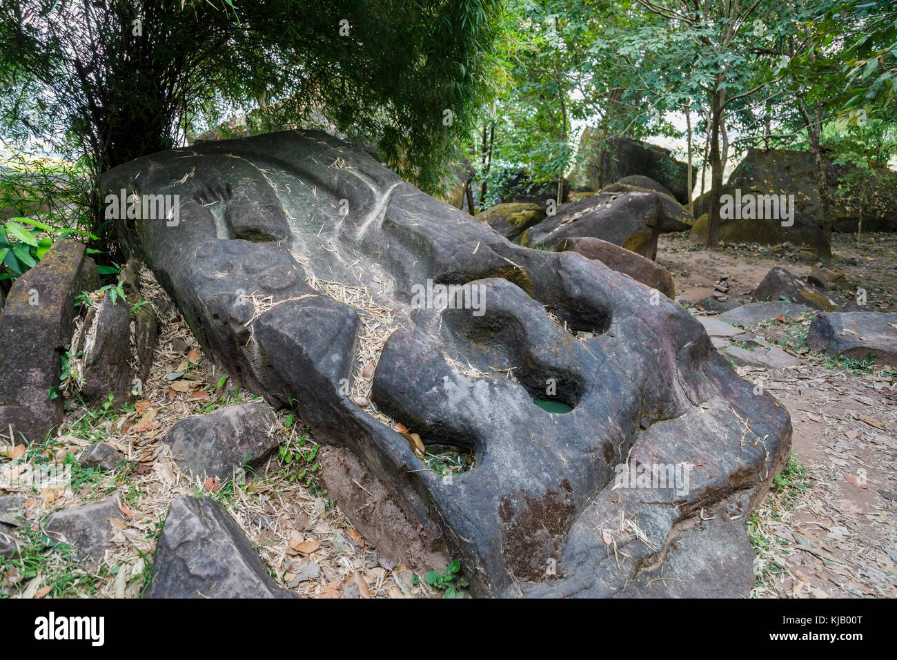 The Crocodile Stone at the ancient ruins of the pre-Angkorian Khmer Hindu (now Buddhist) temple of Wat Phou, Champasak Province, Laos, southeast Asia Stock Photo