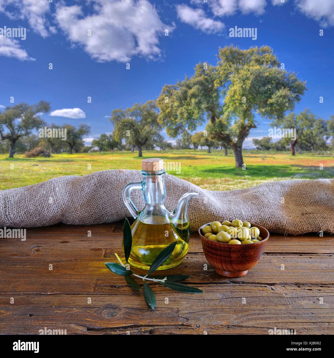 Olive oil on a table in the olive grove. Stock Photo