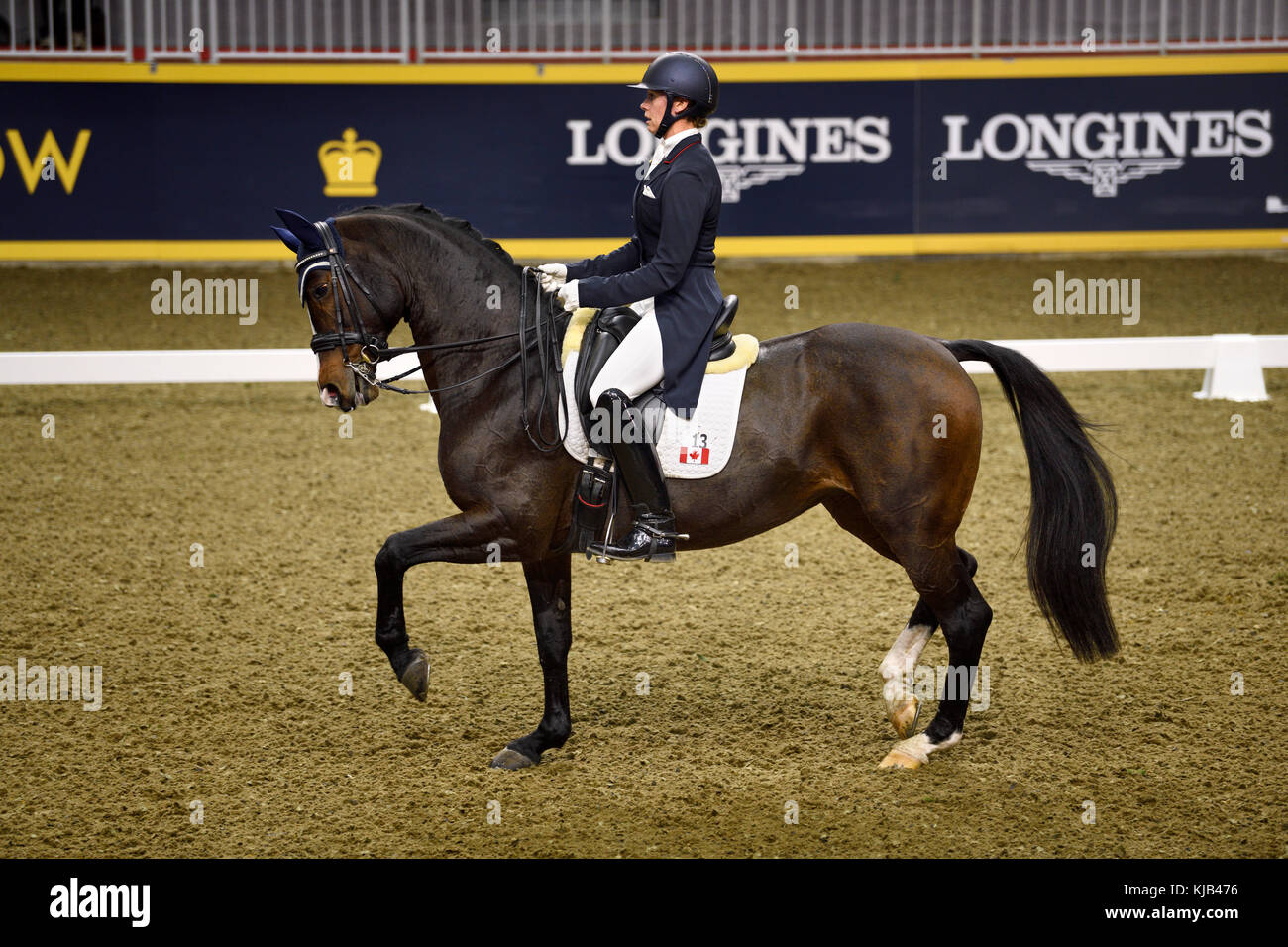 Dressage horse winter hires stock photography and images Alamy