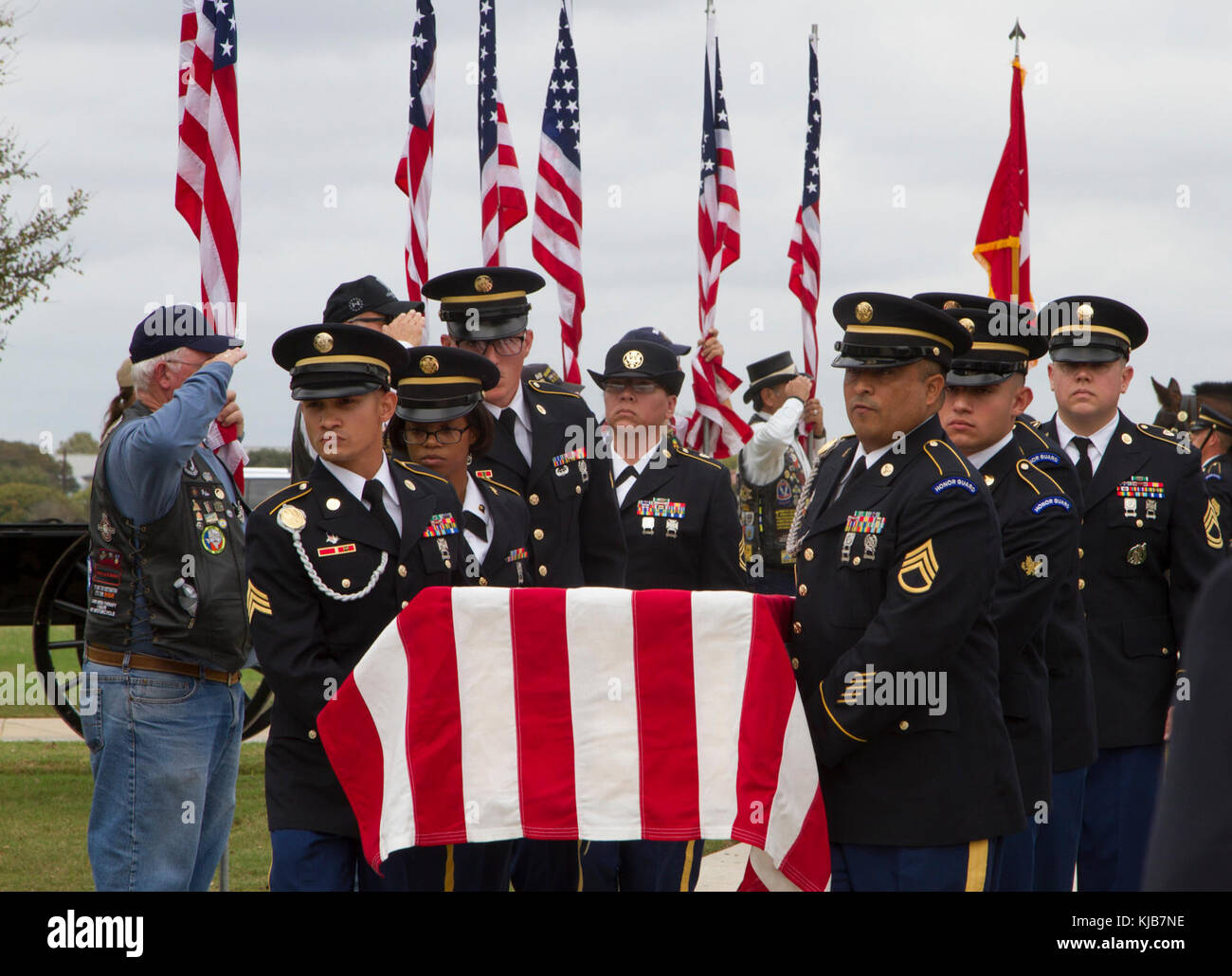 Military funeral honors caisson detachment hi-res stock photography and  images - Alamy