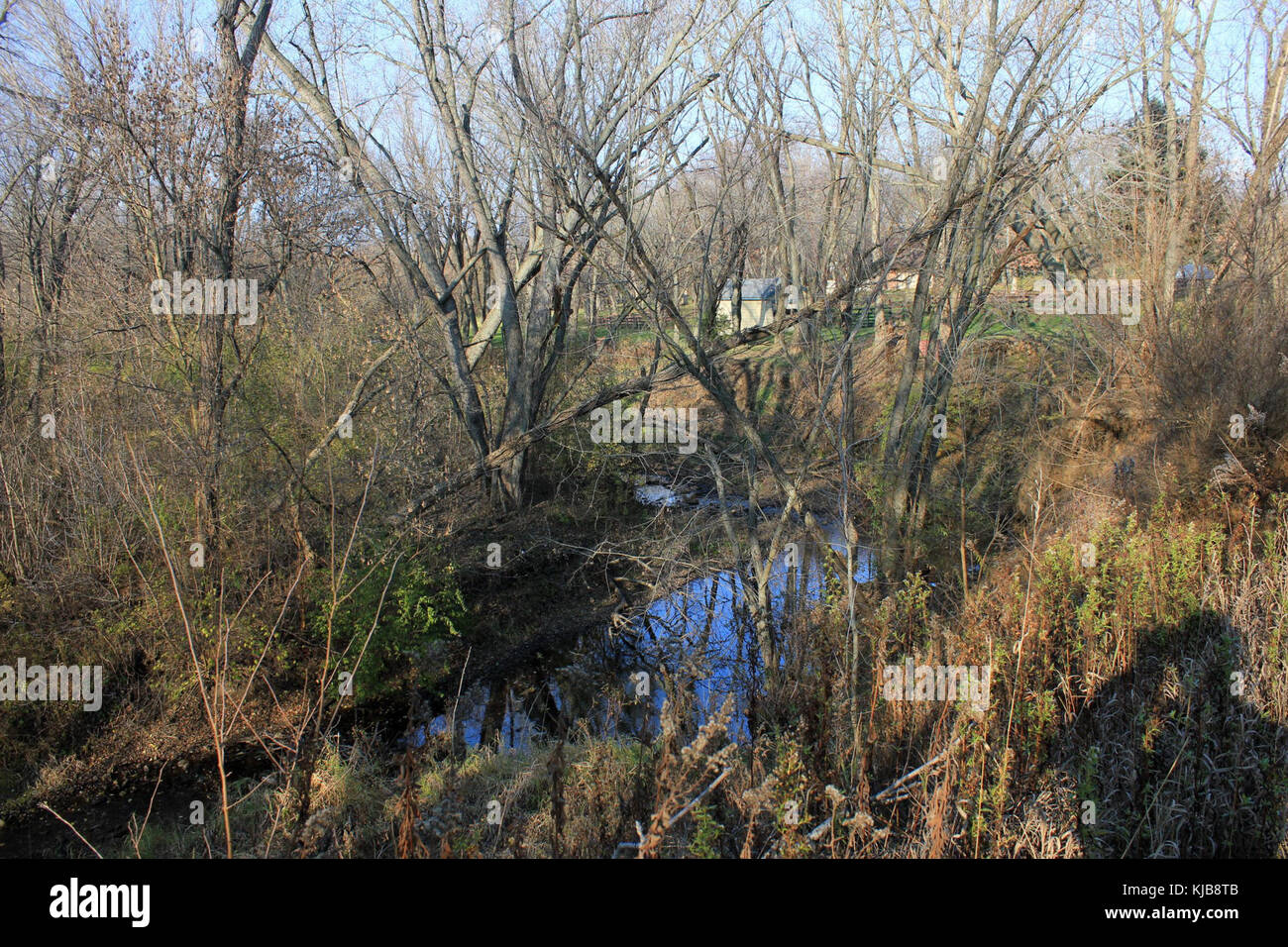 Escape to Illinois Rock-Cut: Where History Meets Adventure