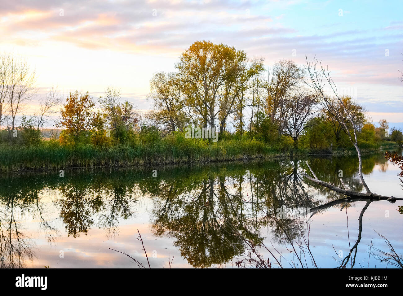 Forest lake in autumn forest Stock Photo - Alamy