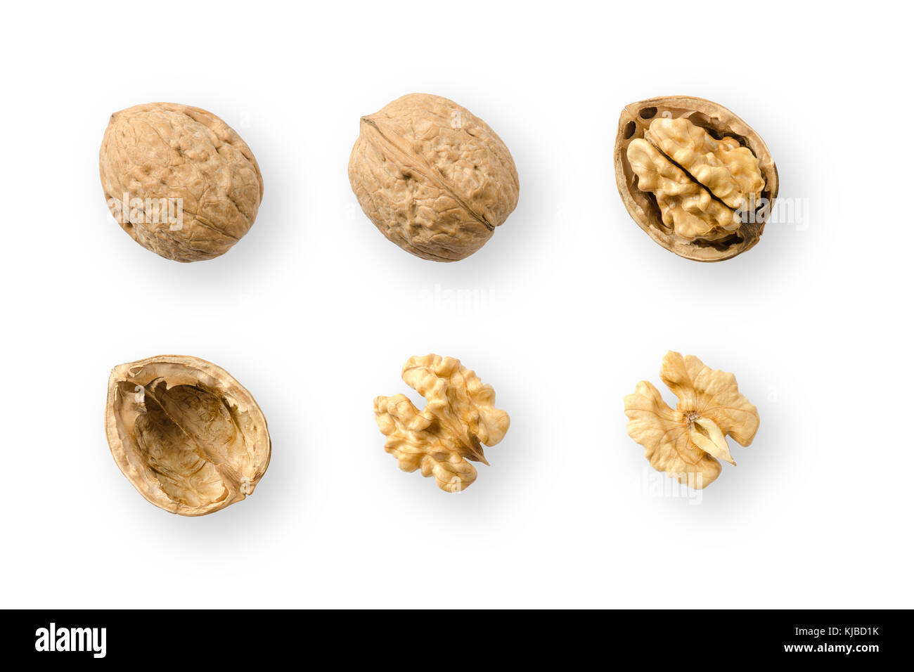 Walnuts, whole and opened, on white background. Top views of nuts and kernel halves. Seeds of the common walnut tree Juglans regia. Stock Photo