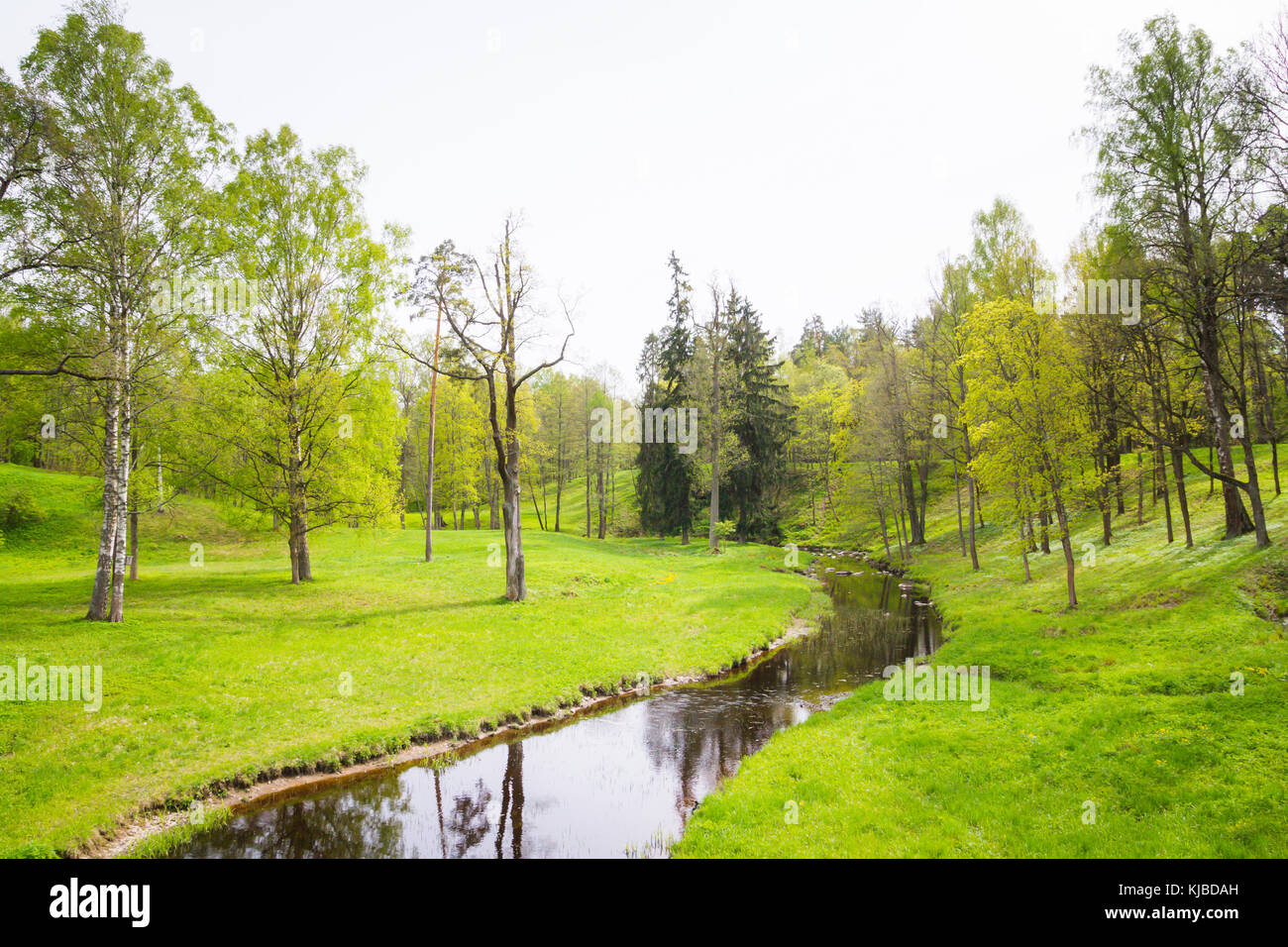Life in the brook and pond hi-res stock photography and images - Alamy