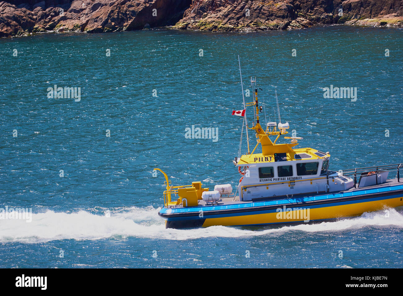 Atlantic Pilotage Authority boat, St John's, Newfoundland, Canada. Stock Photo