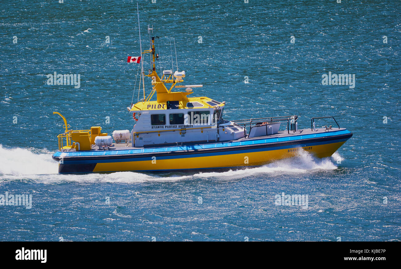 Atlantic Pilotage Authority boat, St John's, Newfoundland, Canada. Stock Photo
