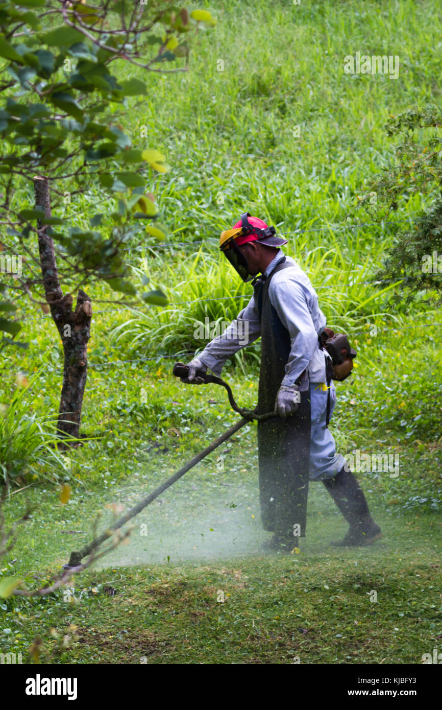 man with a weed whacker mowing the lawn in a large yard in Costa Rica Stock Photo Alamy