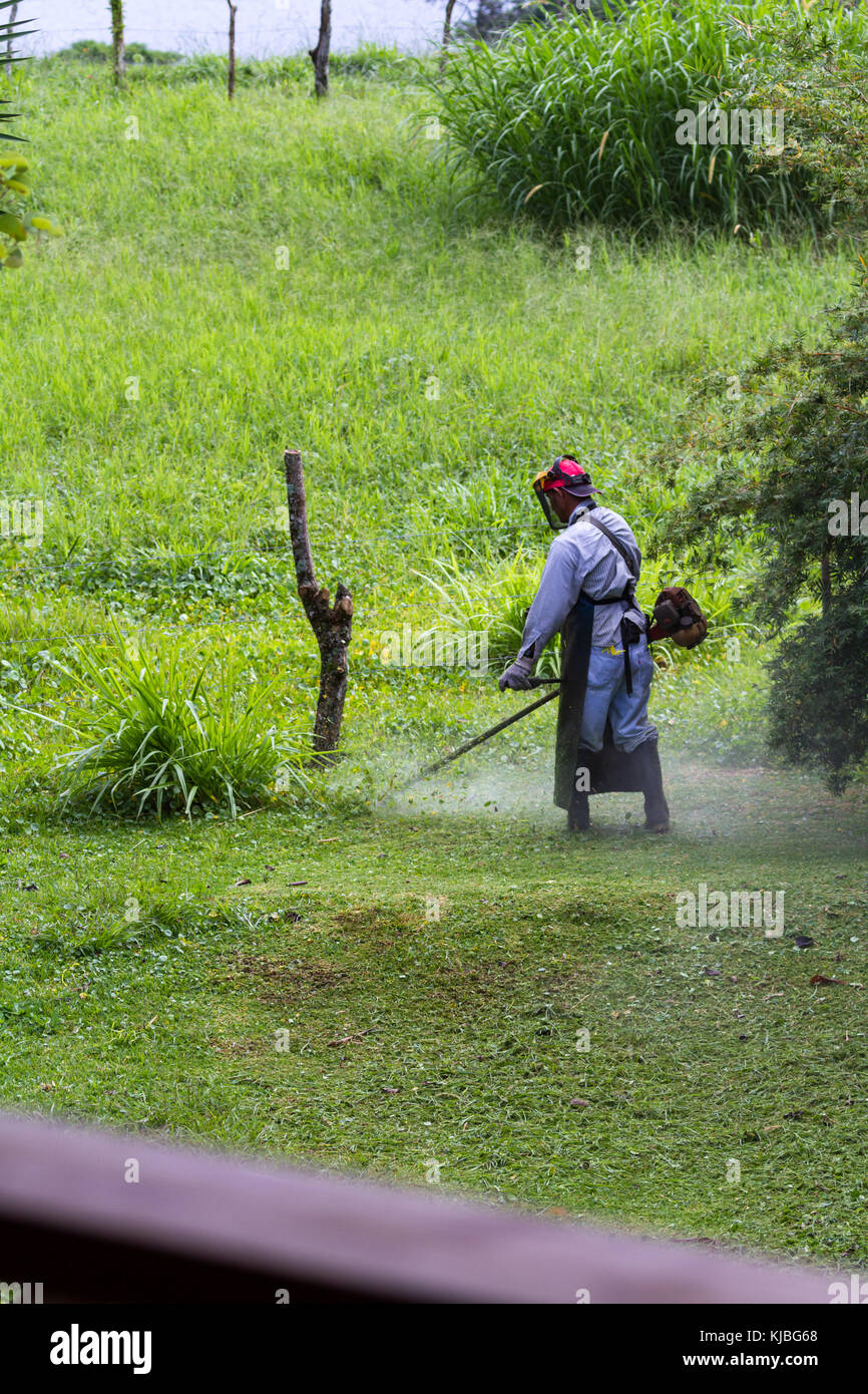 Mow lawn with weed wacker sale