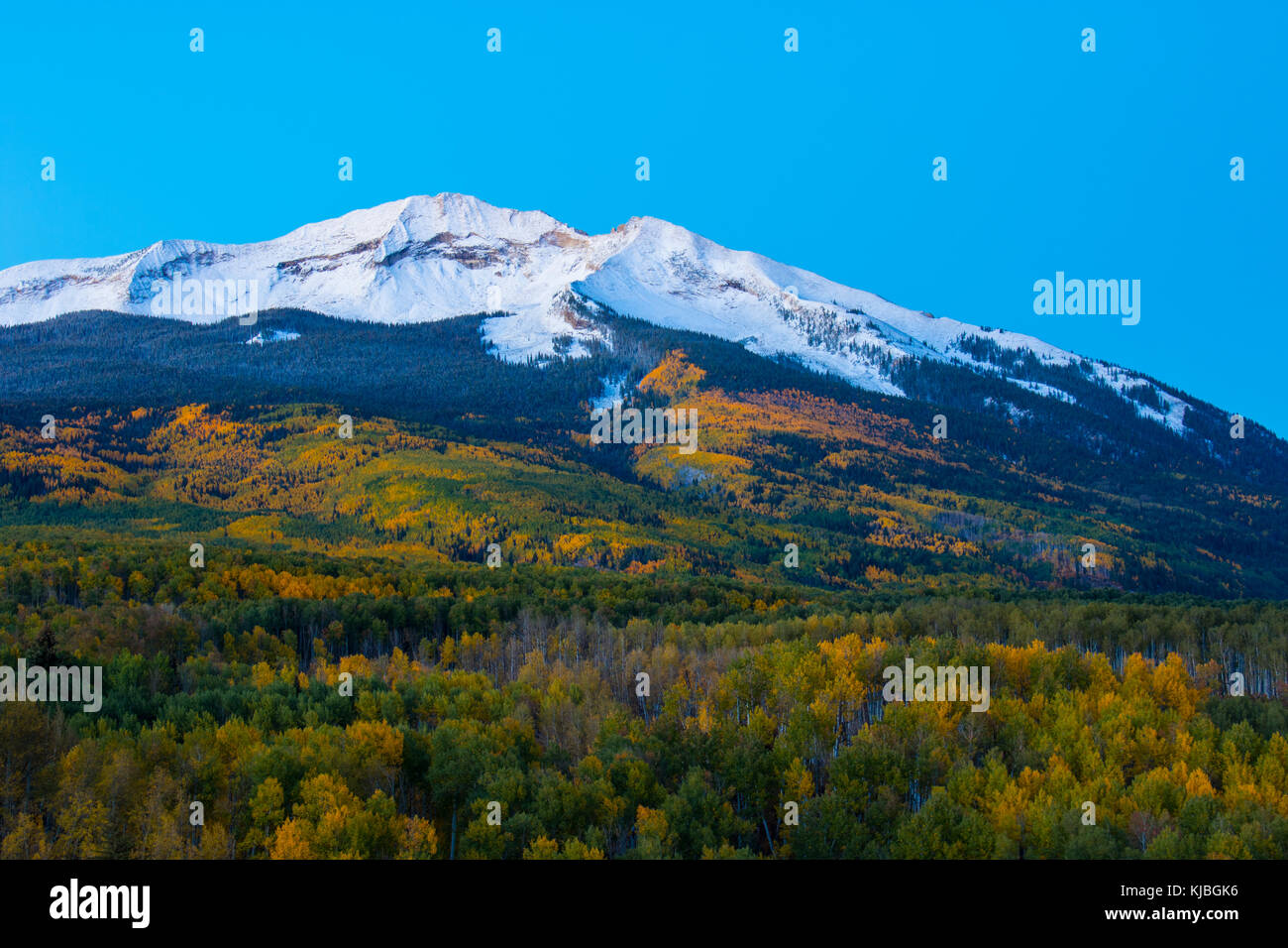 Mount Beckwith Early Morning.  Shot from Kebler Pass near Crested Butte Colorado in the USA Stock Photo