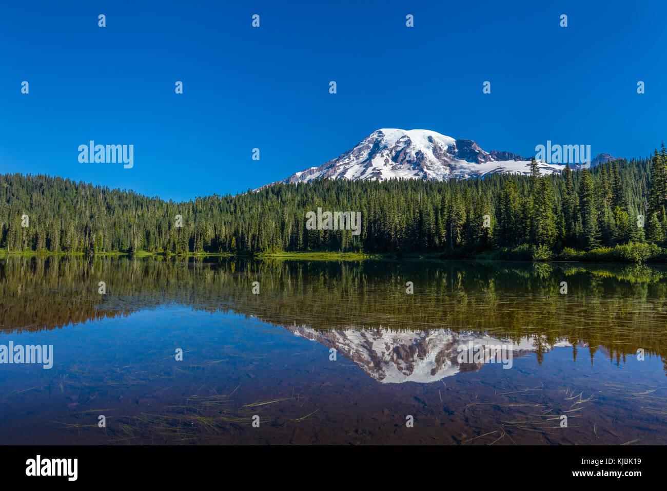Reflection of Mount Rainier in Reflection Lake on the Stevens Canyon Road in Mount Rainier National Park in Washington State in the United States Stock Photo