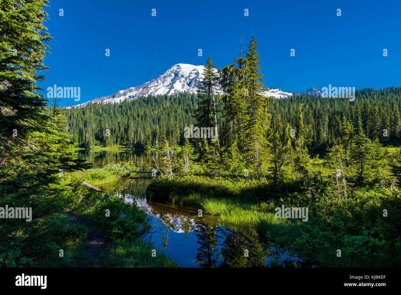 Reflection of Mount Rainier in Reflection Lake on the Stevens Canyon Road in Mount Rainier National Park in Washington State in the United States Stock Photo