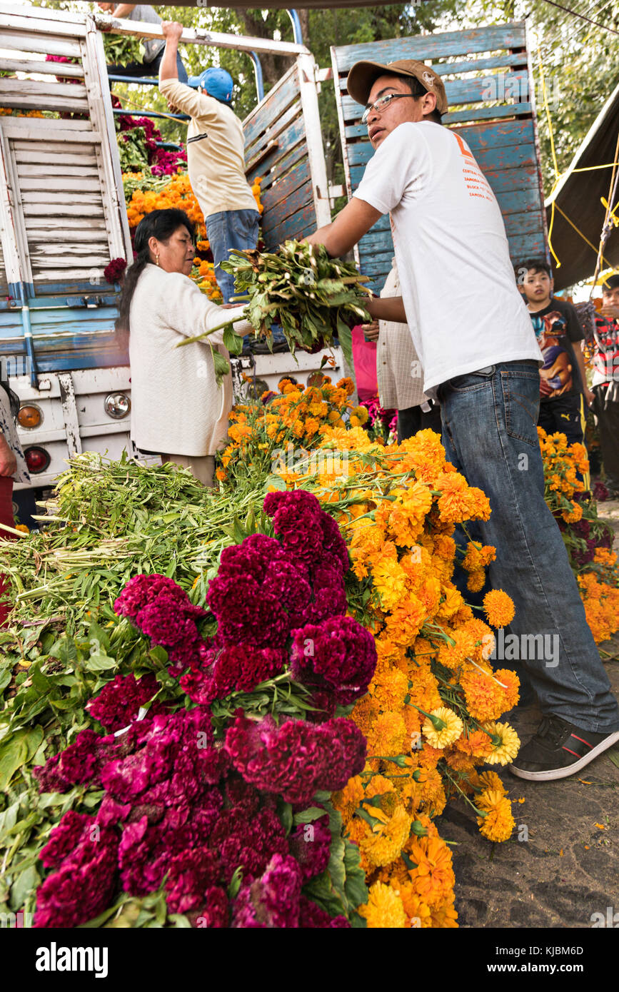Mexican farmers unload marigolds and flowers fresh from the