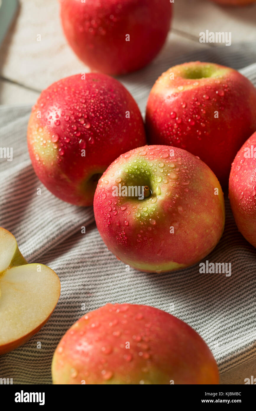 Raw Red Organic Pink Lady Apples Ready to Eat Stock Photo Alamy
