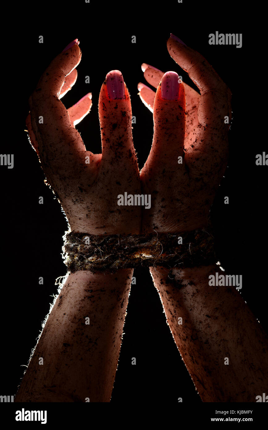 Hands tied with rope Stock Photo