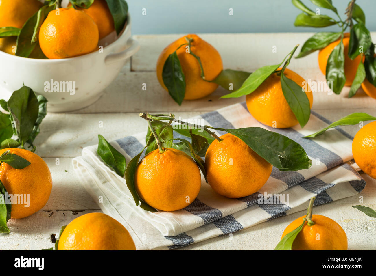 Healthy Raw Organic Satsuma Mandarin Oranges with Green Leaves Stock