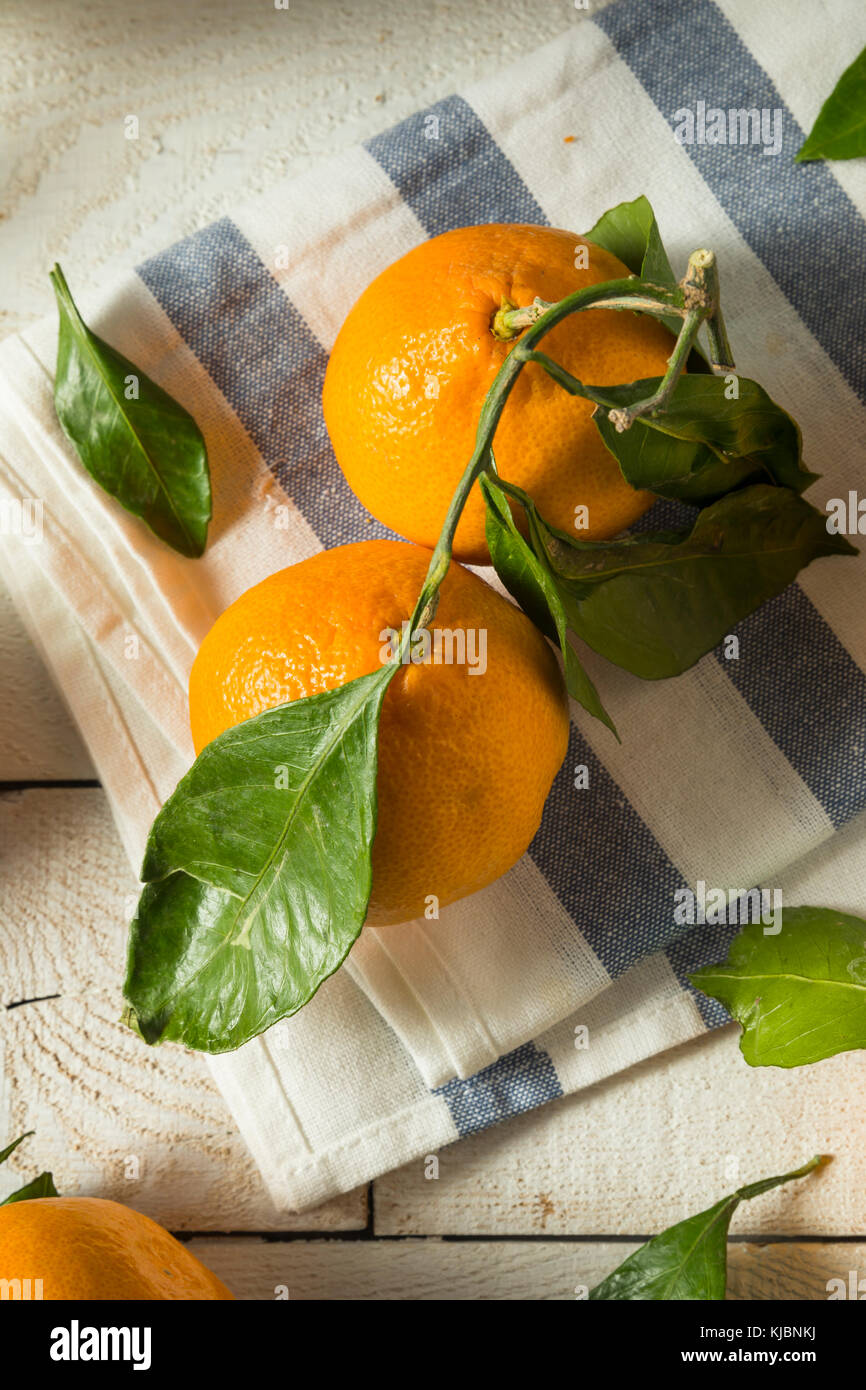 Healthy Raw Organic Satsuma Mandarin Oranges with Green Leaves Stock Photo Alamy