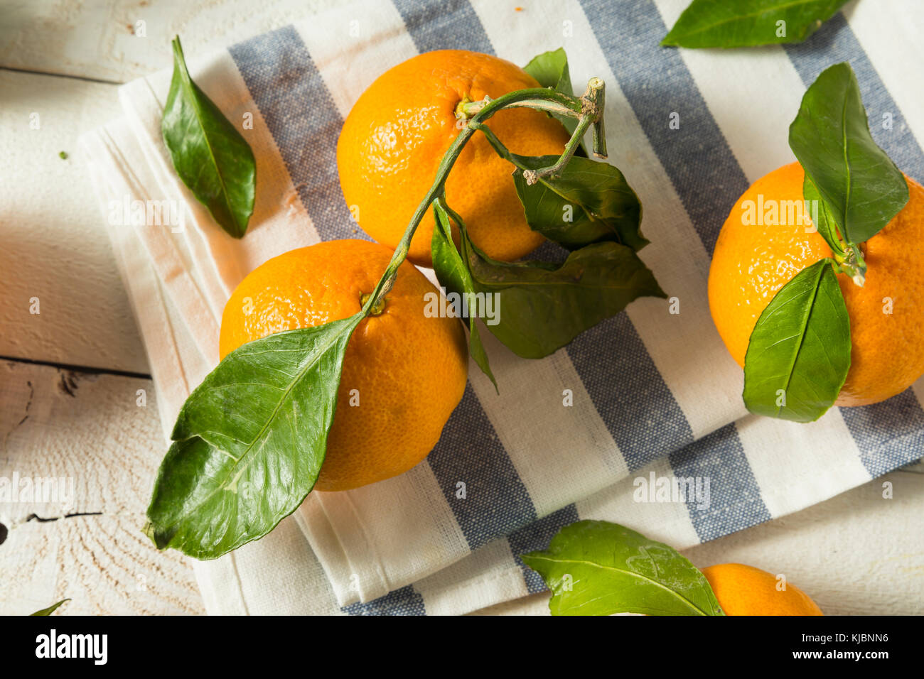 Healthy Raw Organic Satsuma Mandarin Oranges with Green Leaves Stock