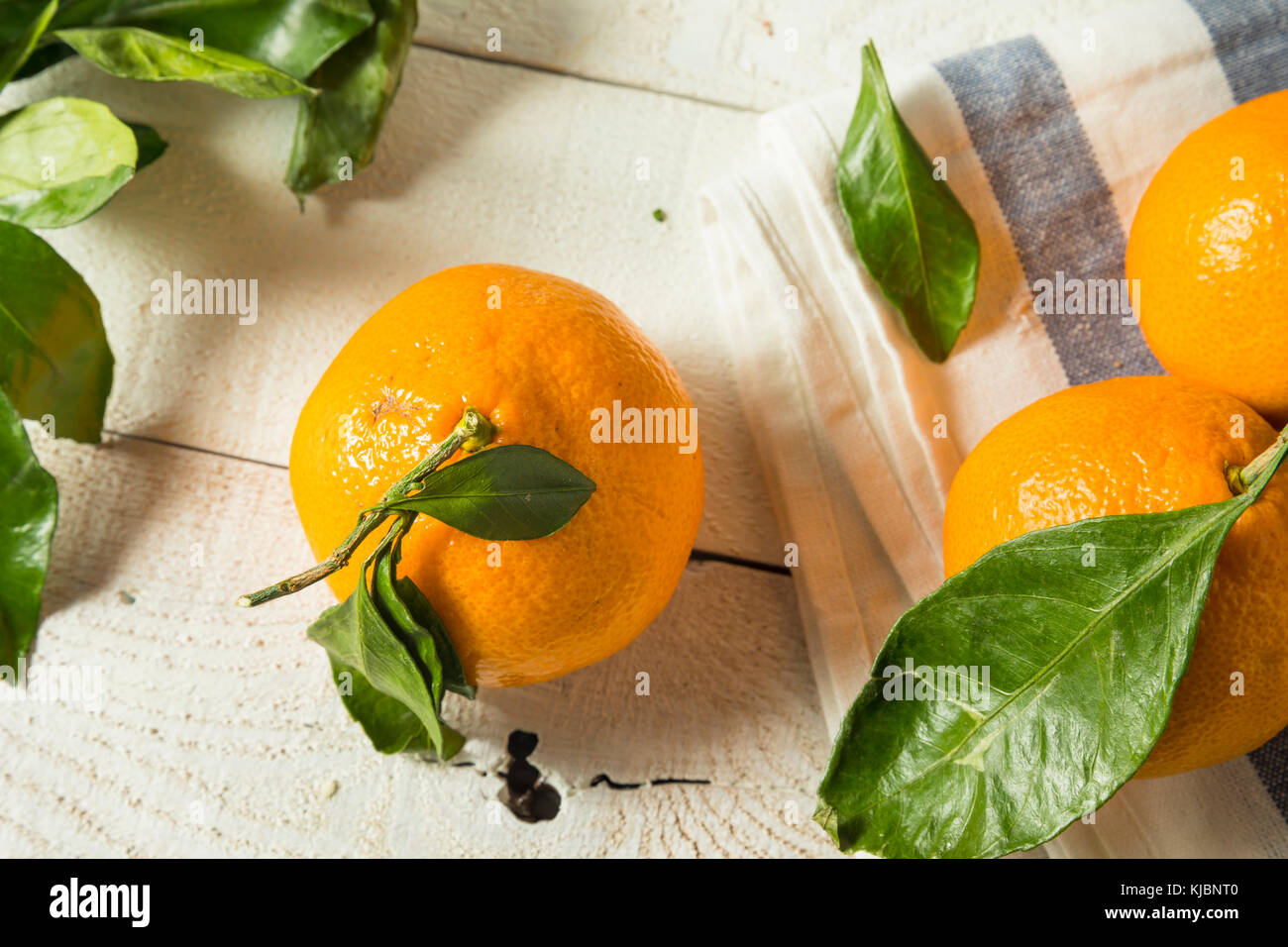 Green Satsuma Mandarin Orange at Dominic Humphrey blog