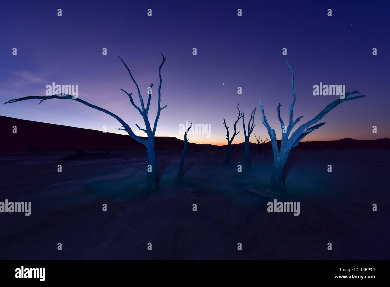 Deadvlei stars hi-res stock photography and images - Alamy