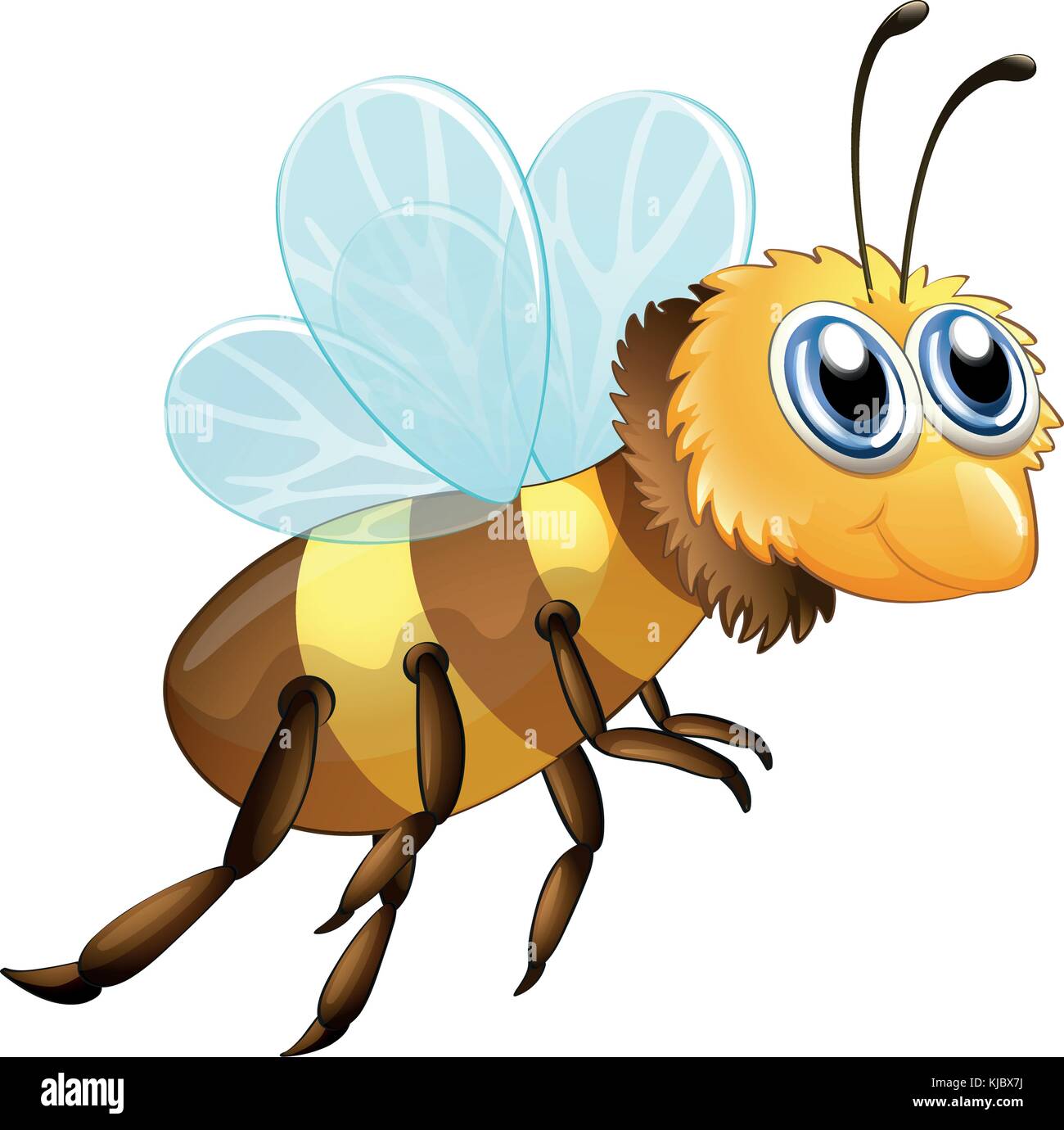 Insect segments Cut Out Stock Images & Pictures - Alamy