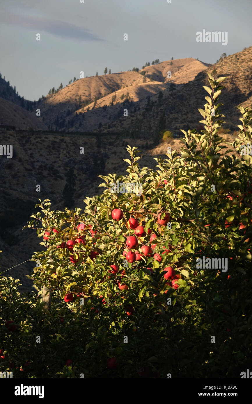 Eastern wa usa hires stock photography and images Alamy