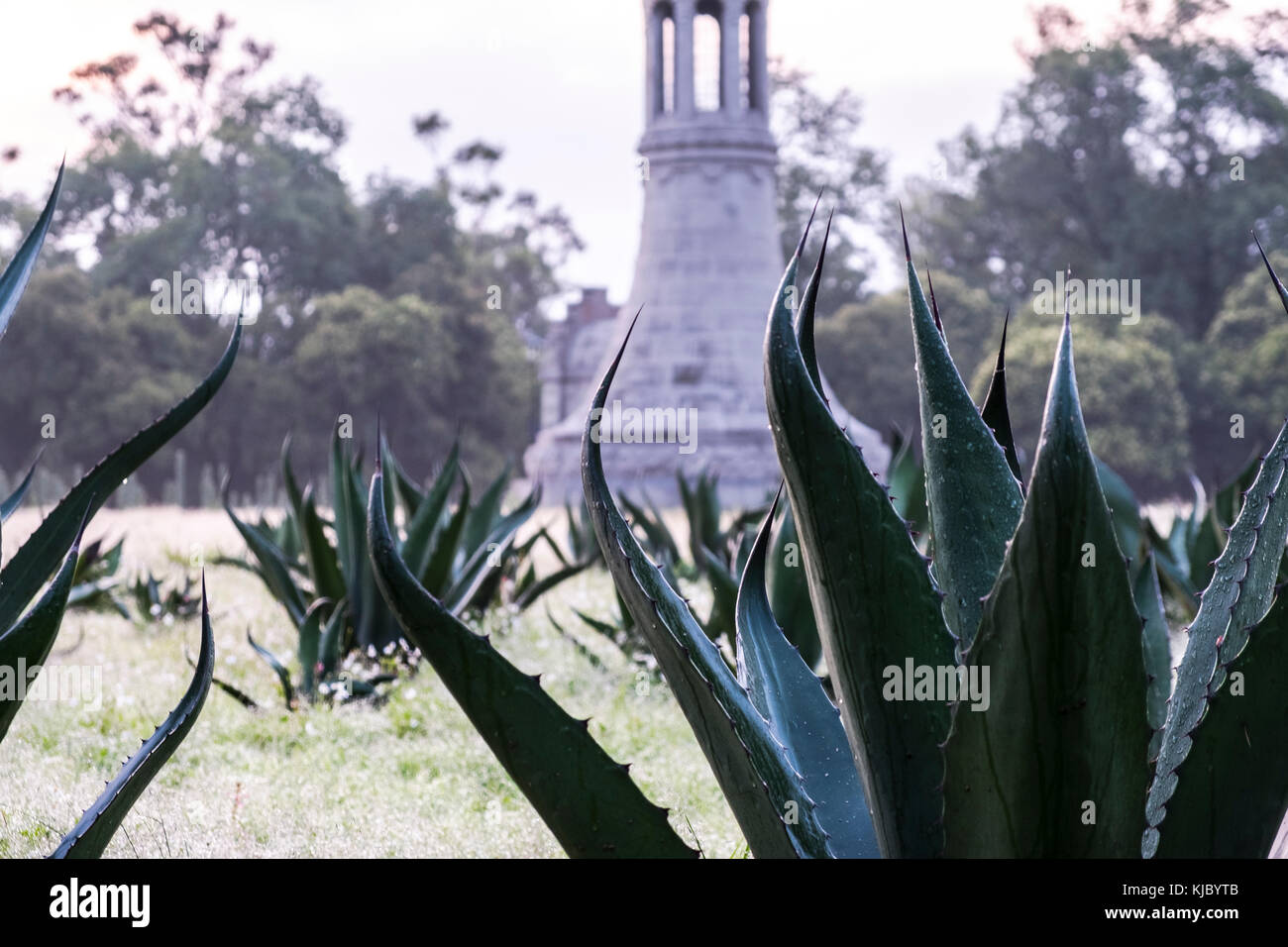 Torres de Chapultepec (Vessels of the 4 Tanks storage of the Carcamo Dolores) Stock Photo