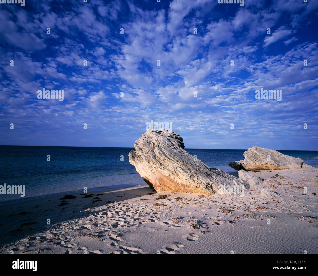 Rottnest images hi-res stock photography and images - Alamy