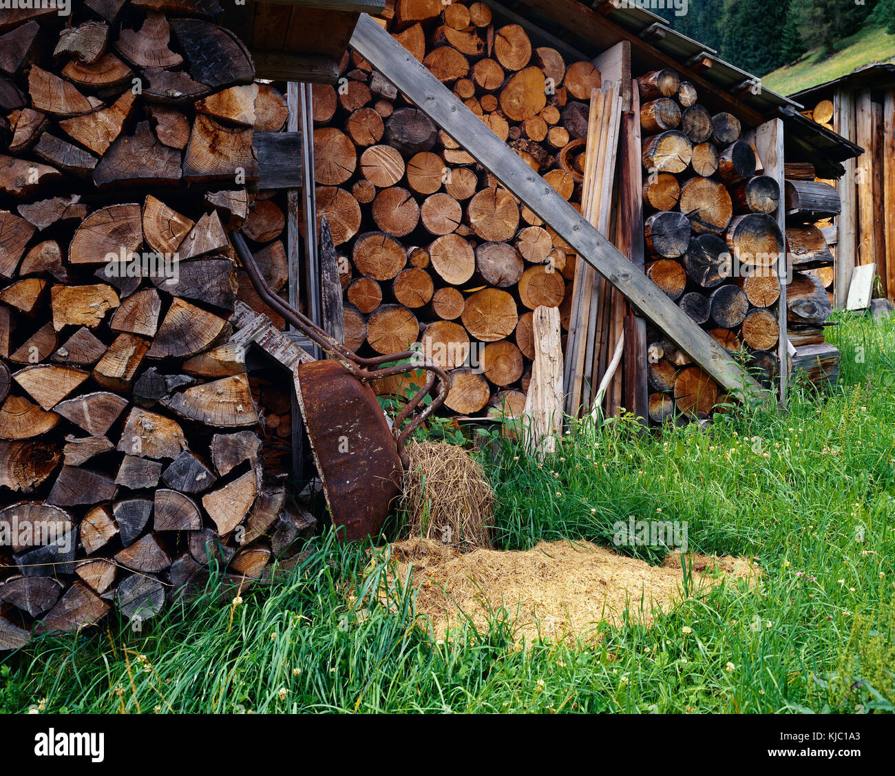 Woodpile, Defereggen Valley, Tirol, Austria Stock Photo