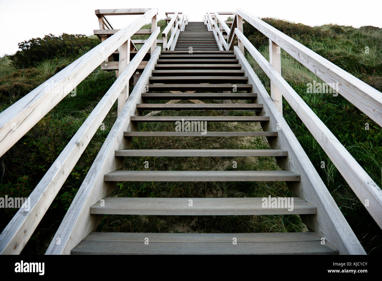 Wooden Steps Stock Photo