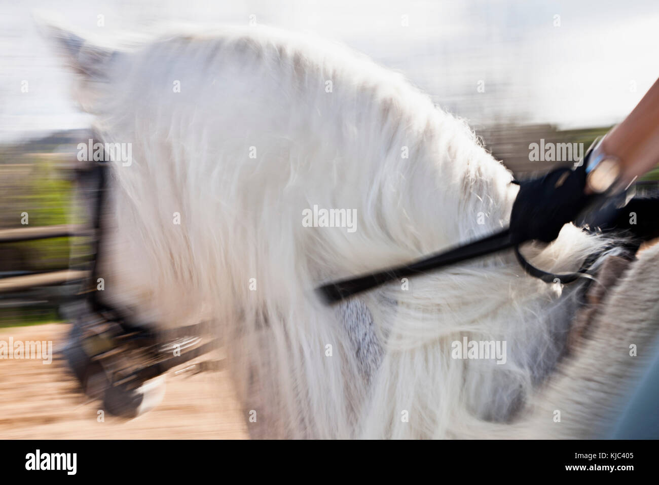 Horseback Riding Stock Photo