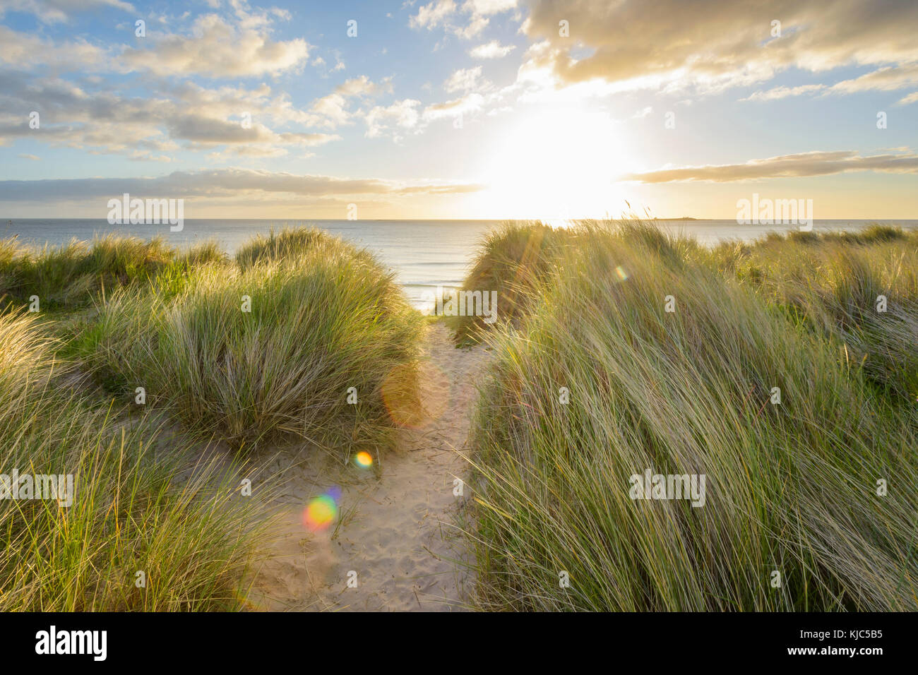 Path through dune grass on the beach with the sun shining over the North Sea at dawn, Bamburgh in Northumberland, England Stock Photo