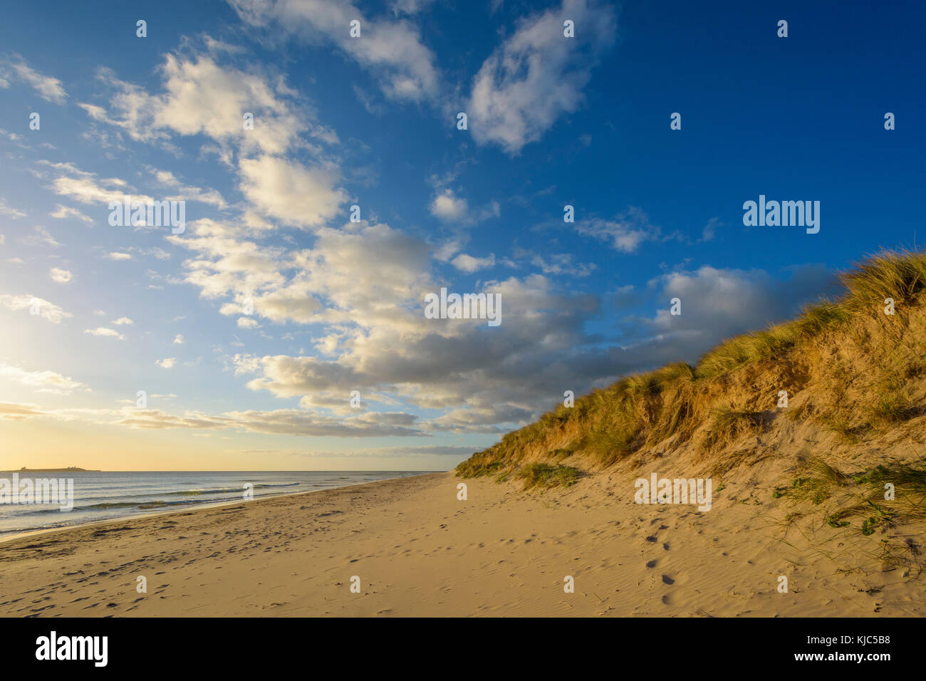 Footprints in the sand along the beach with the North Sea at Bamburgh in Northumberland, England, United Kingdom Stock Photo