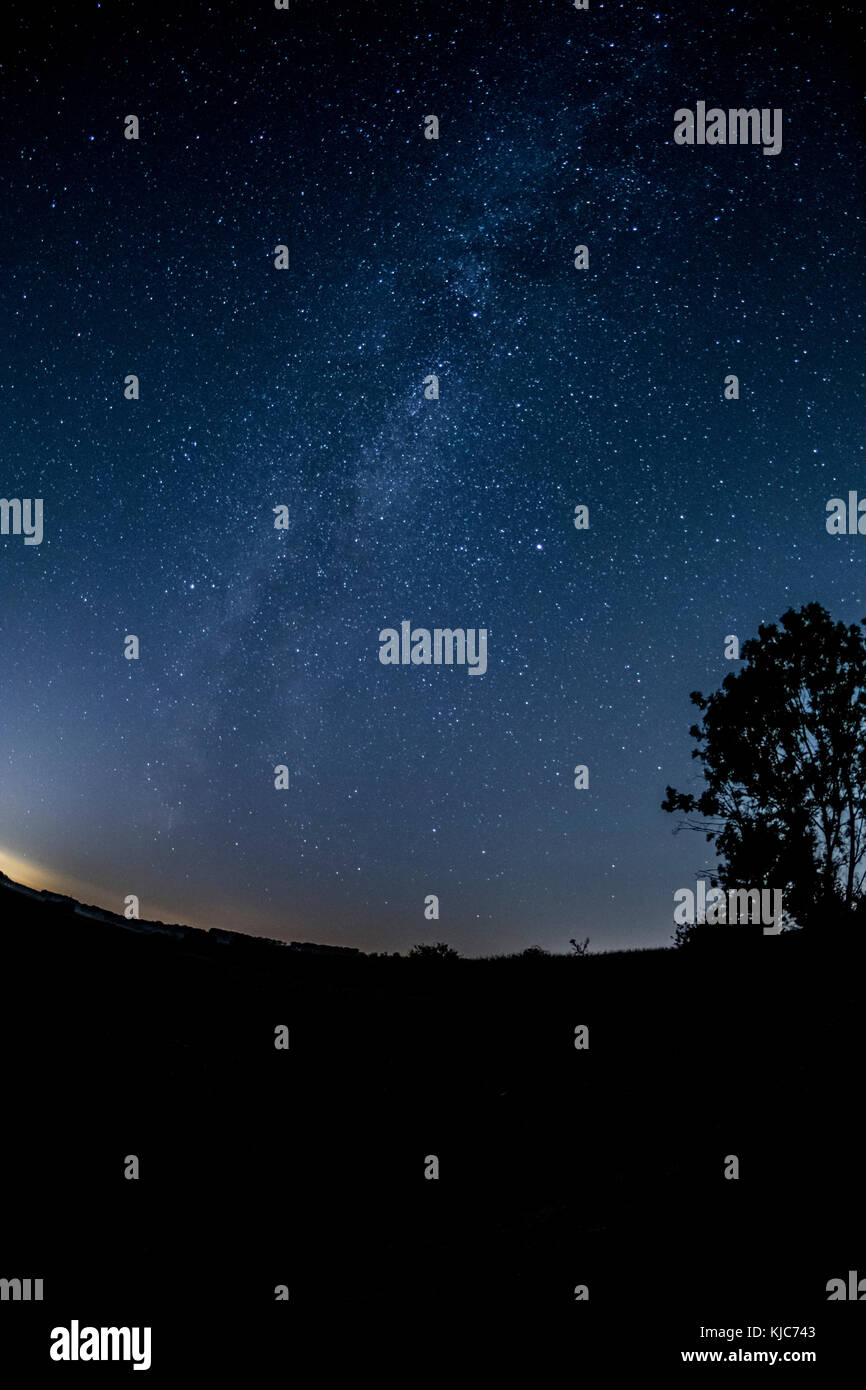 Milky way over field with tree Stock Photo - Alamy