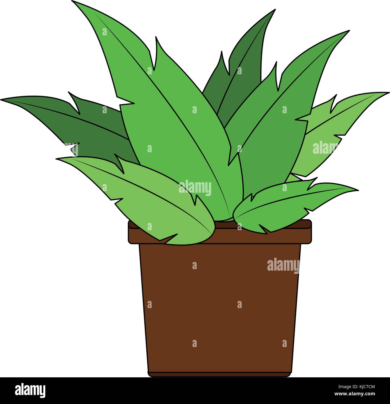 Plant in vase Stock Vector Image & Art Alamy