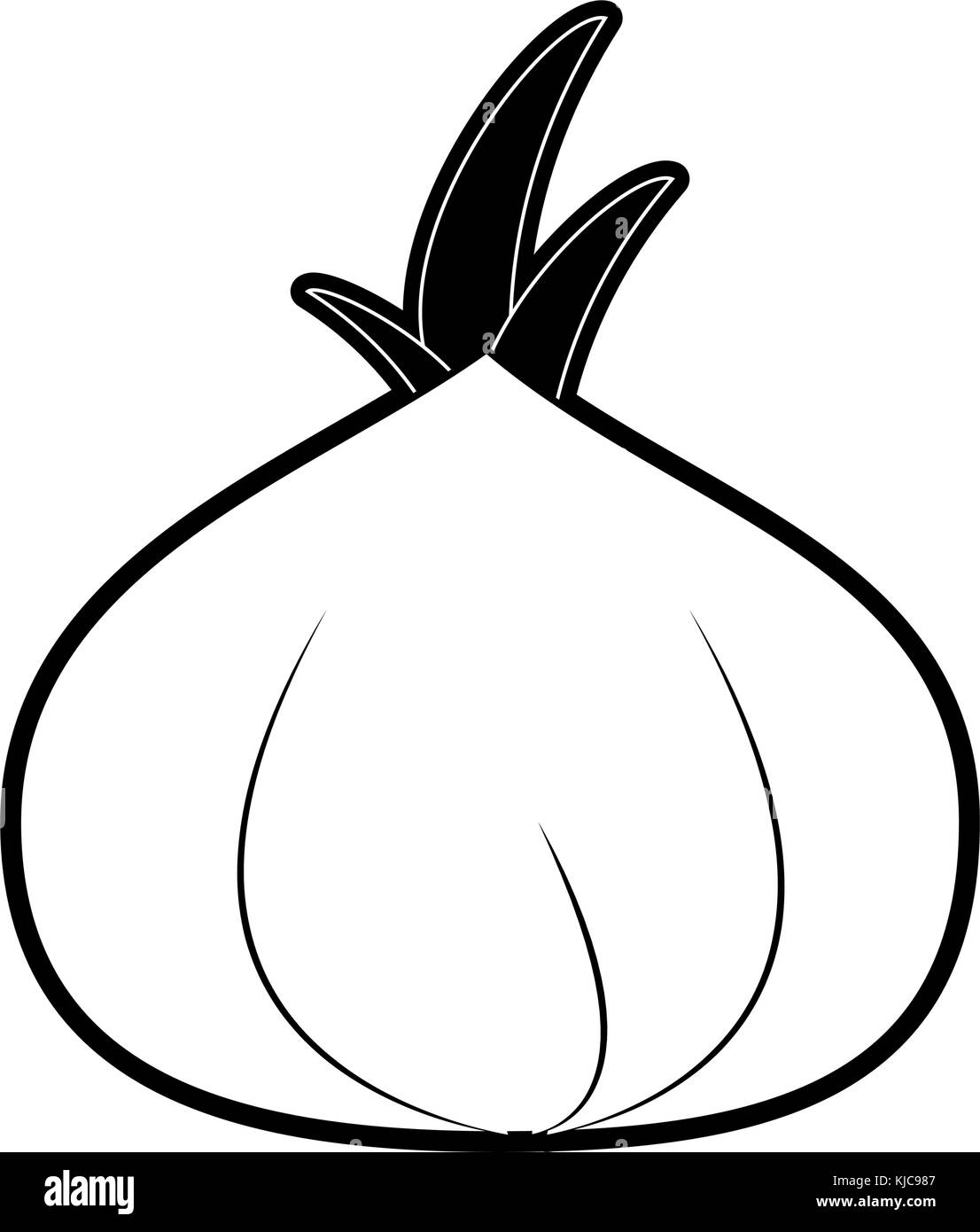 Onion fresh vegetable Stock Vector Image & Art Alamy