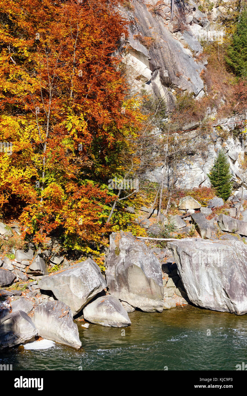 Prut River autumn landscape (Yaremche, Ivano-Frankivsk Oblast, Ukraine). View from bridge. Stock Photo